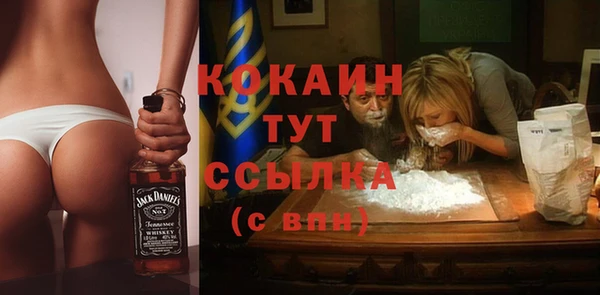 гидра Зеленодольск