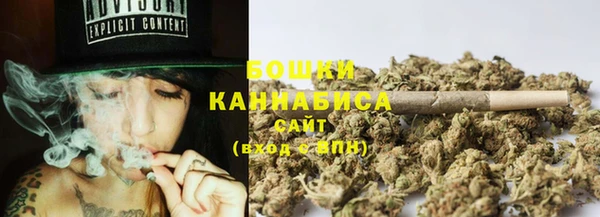 гидра Зеленодольск