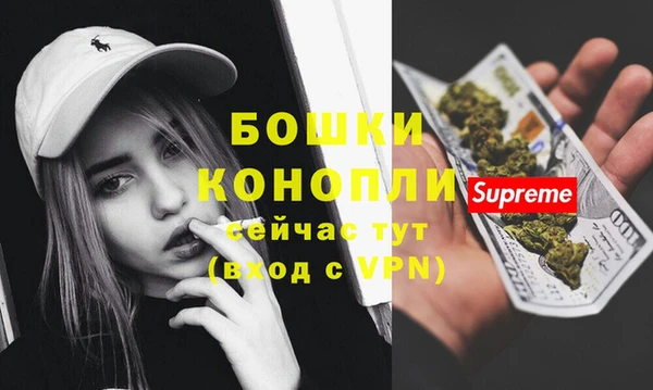 гидра Зеленодольск