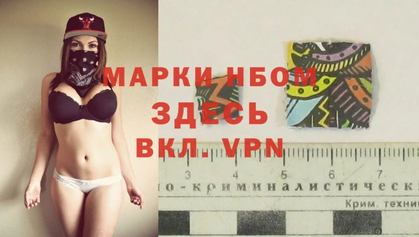 гидра Зеленодольск
